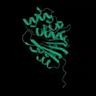 Human MB-COMT protein rotation animation